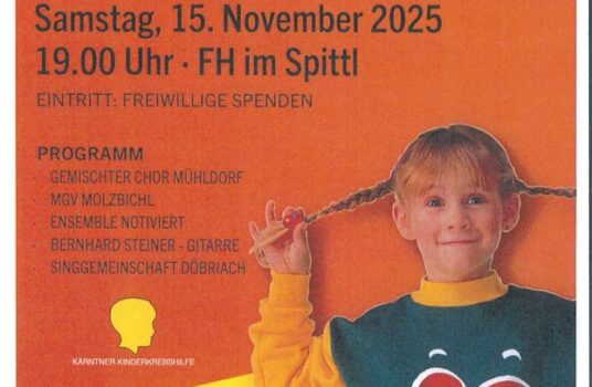 Mitwirkung: Benefizkonzert „Ein Herz für Kinder“